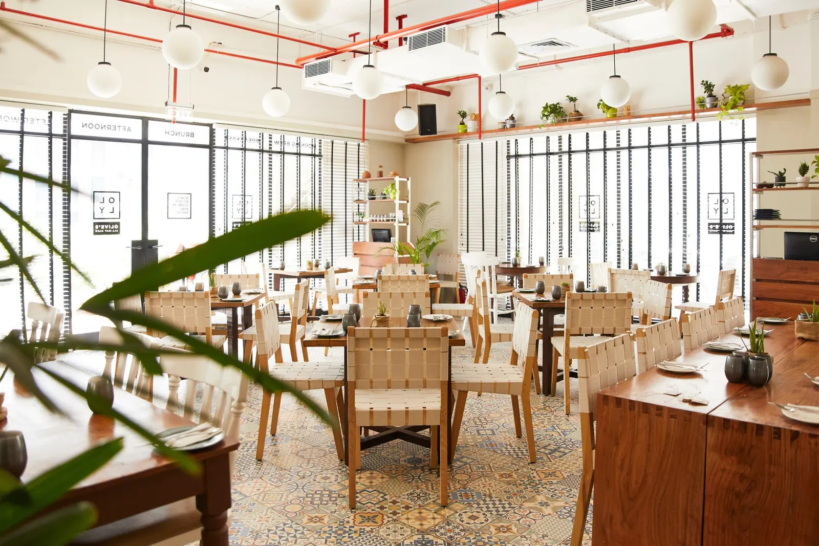 OLLY - Olive's All Day Cafe & Bar