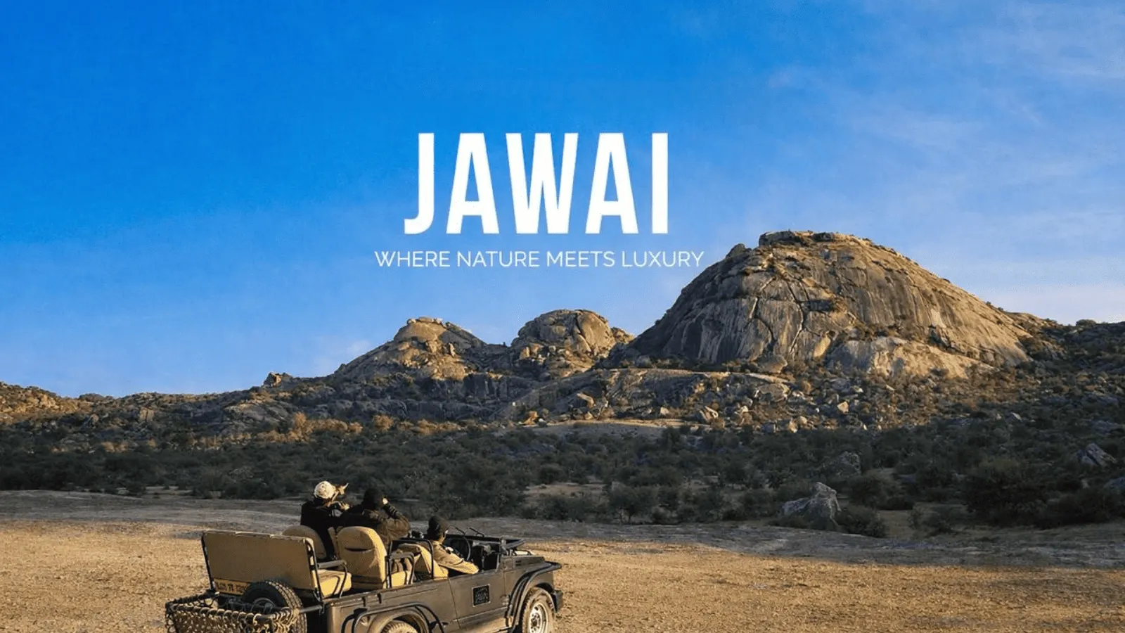 Jawai Jungle Safari | Wild Leopard Trail Experience