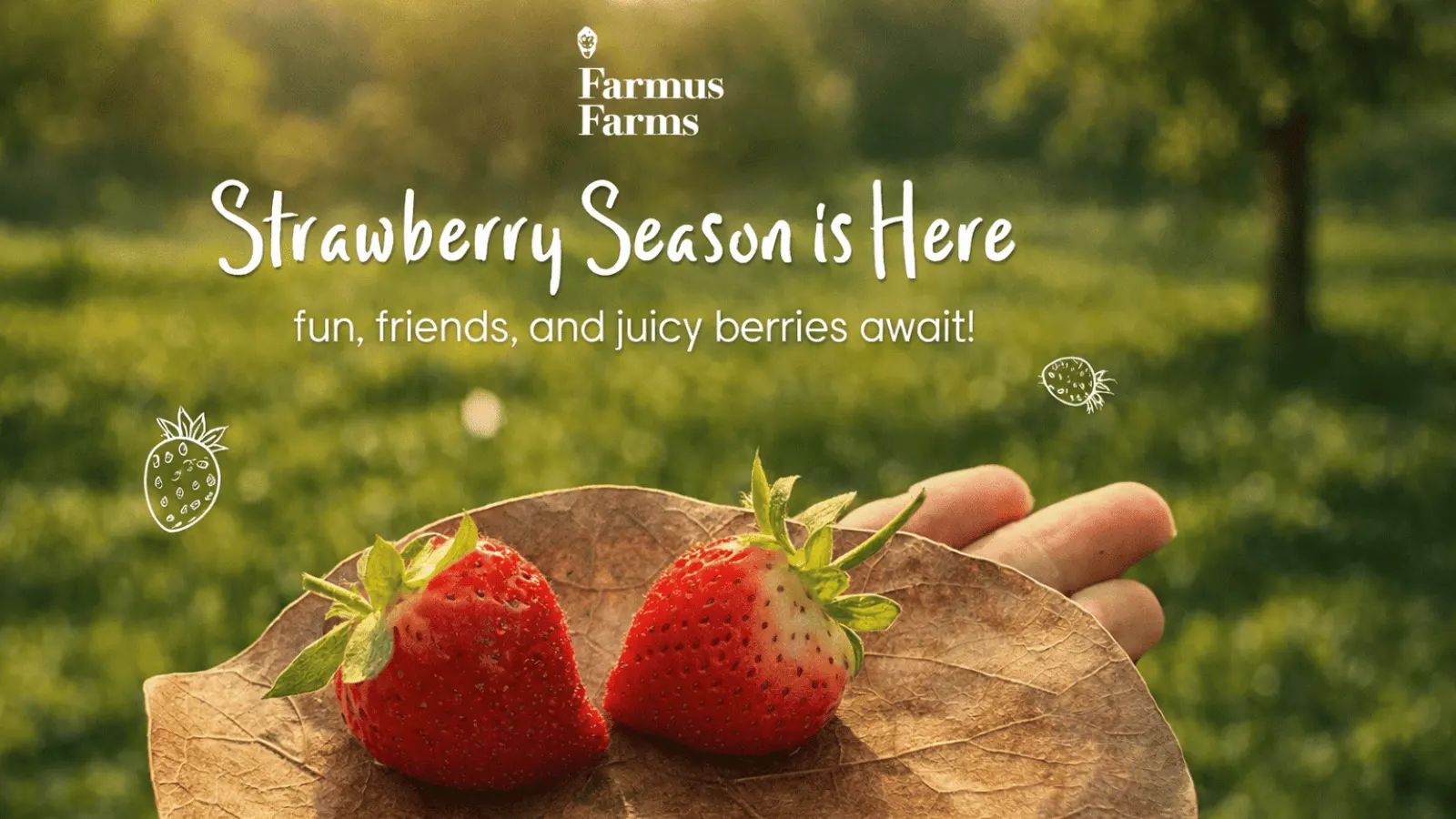 Farmus Farms | Strawberry Picking