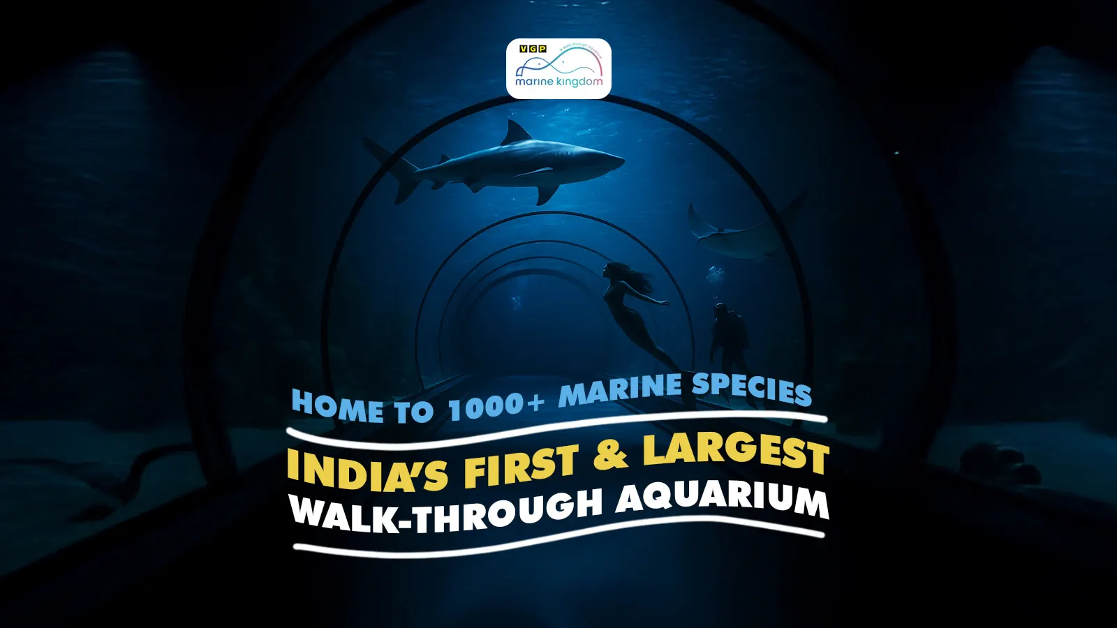 VGP Marine Kingdom | Chennai