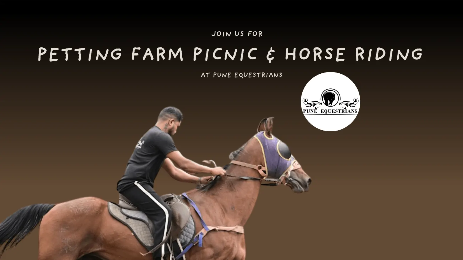 Pune Equestrians | Horse Riding | Petting Zoo