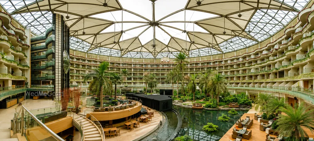 Sahara Star