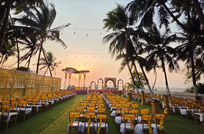 WhiteSand Lawn And Events