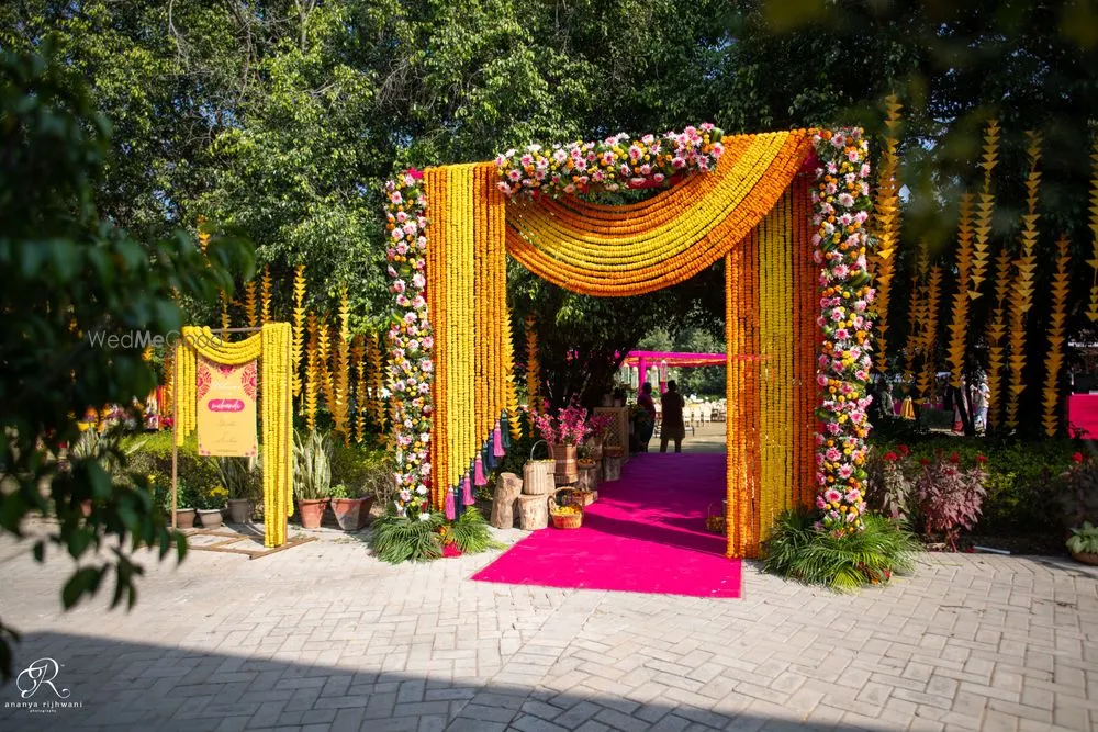Blush Decor
