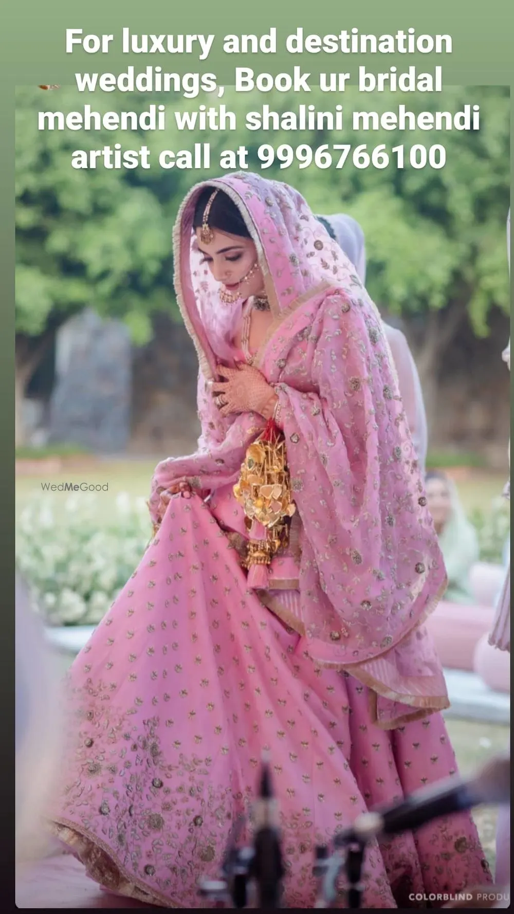 Shalini Mehendi Artist