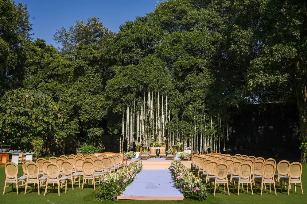 Velvet Dreams Events