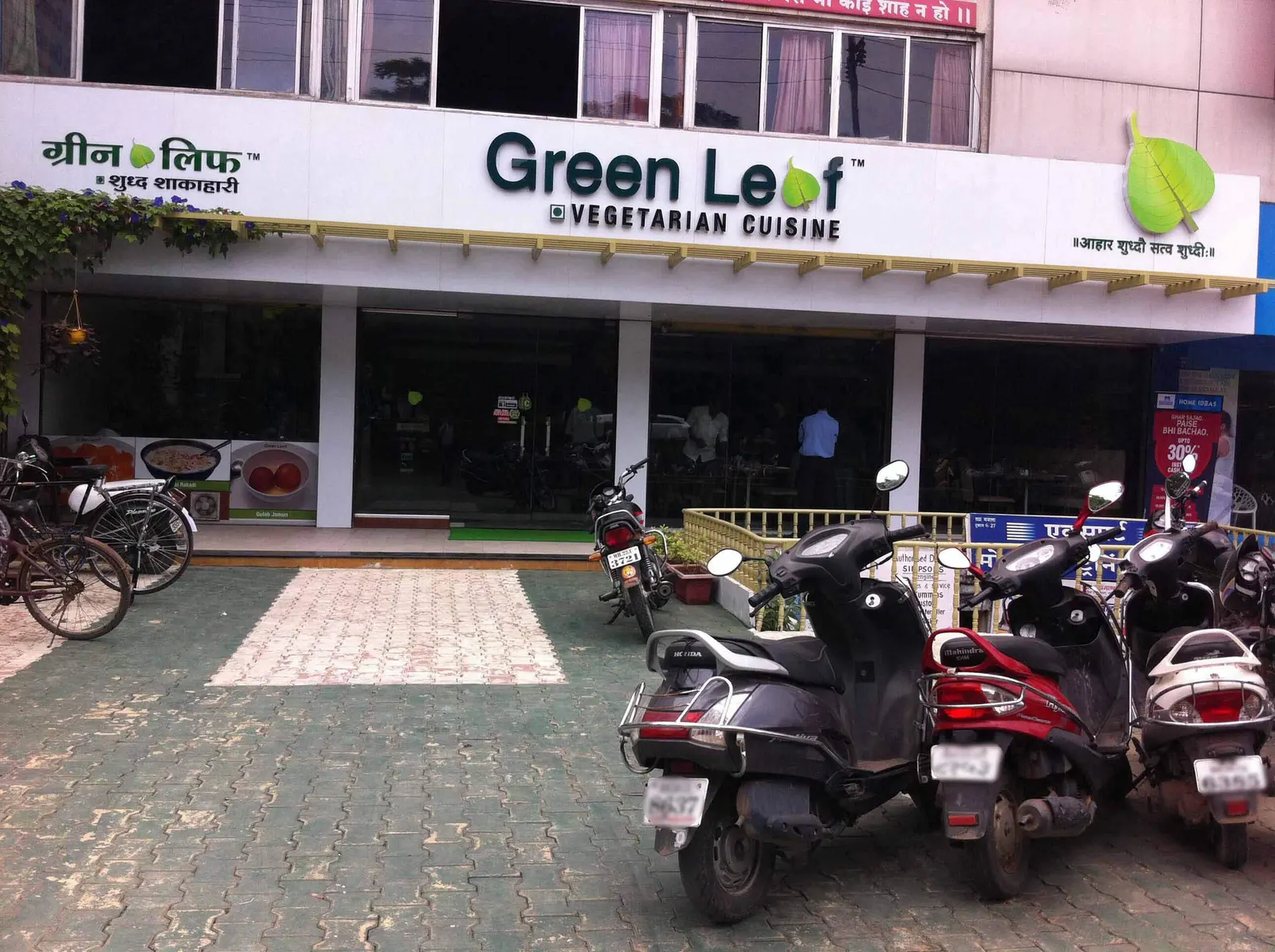 Green Leaf