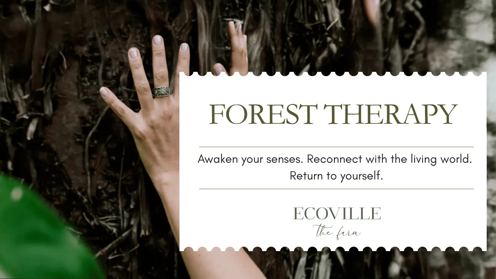 Forest Therapy