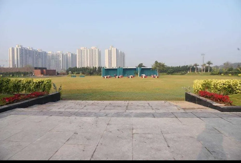 Savanna Party Lawn