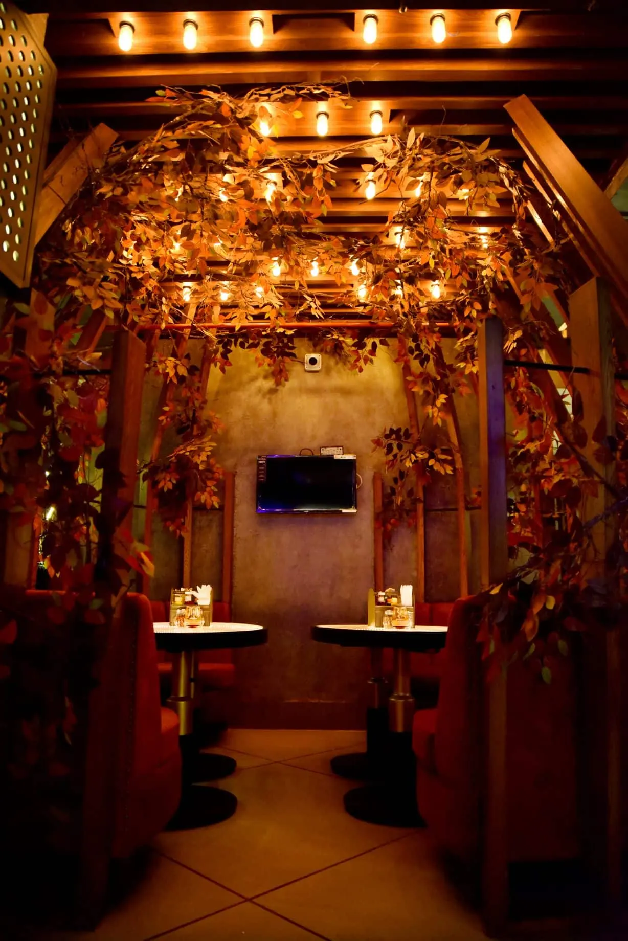 Molecule Gastro Bar