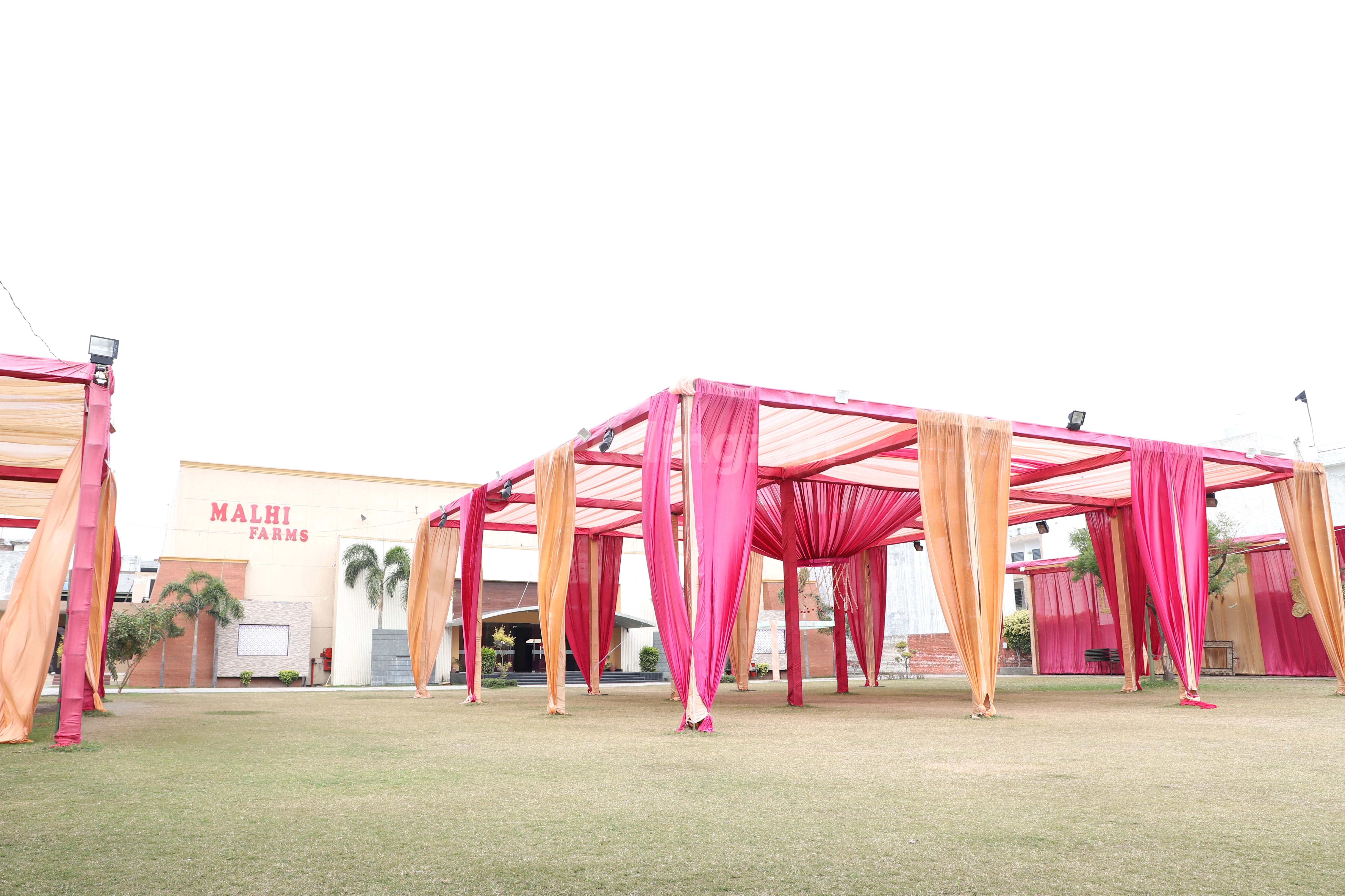 Malhi Farms