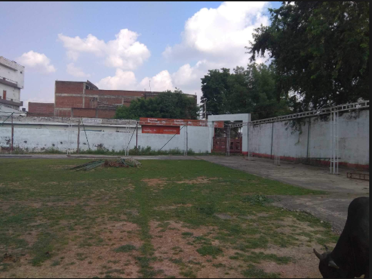 R M Mehta Lawn