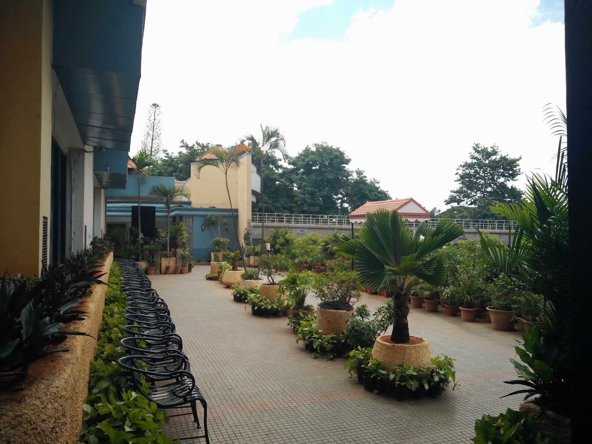Canopy Terrace Garden