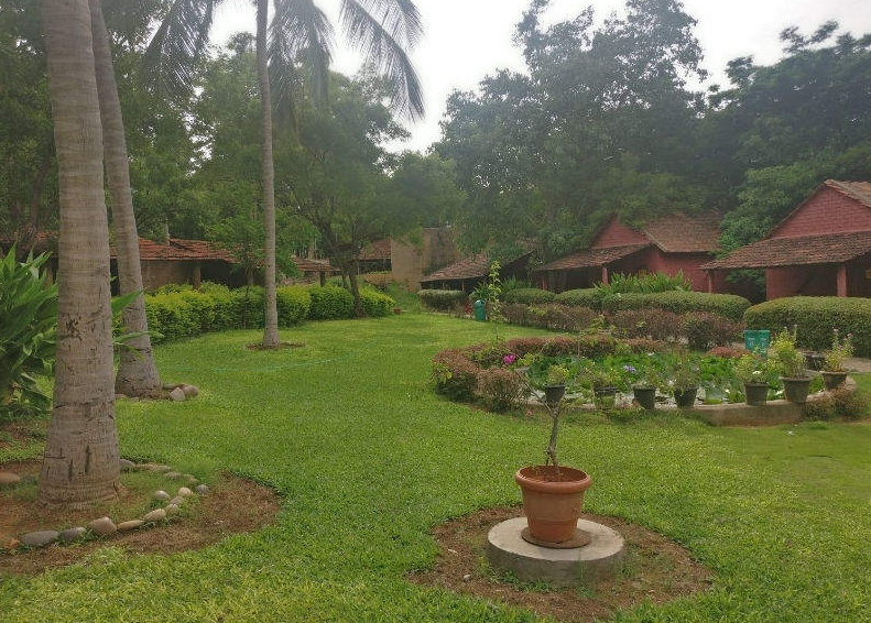 Treasure Island Resorts