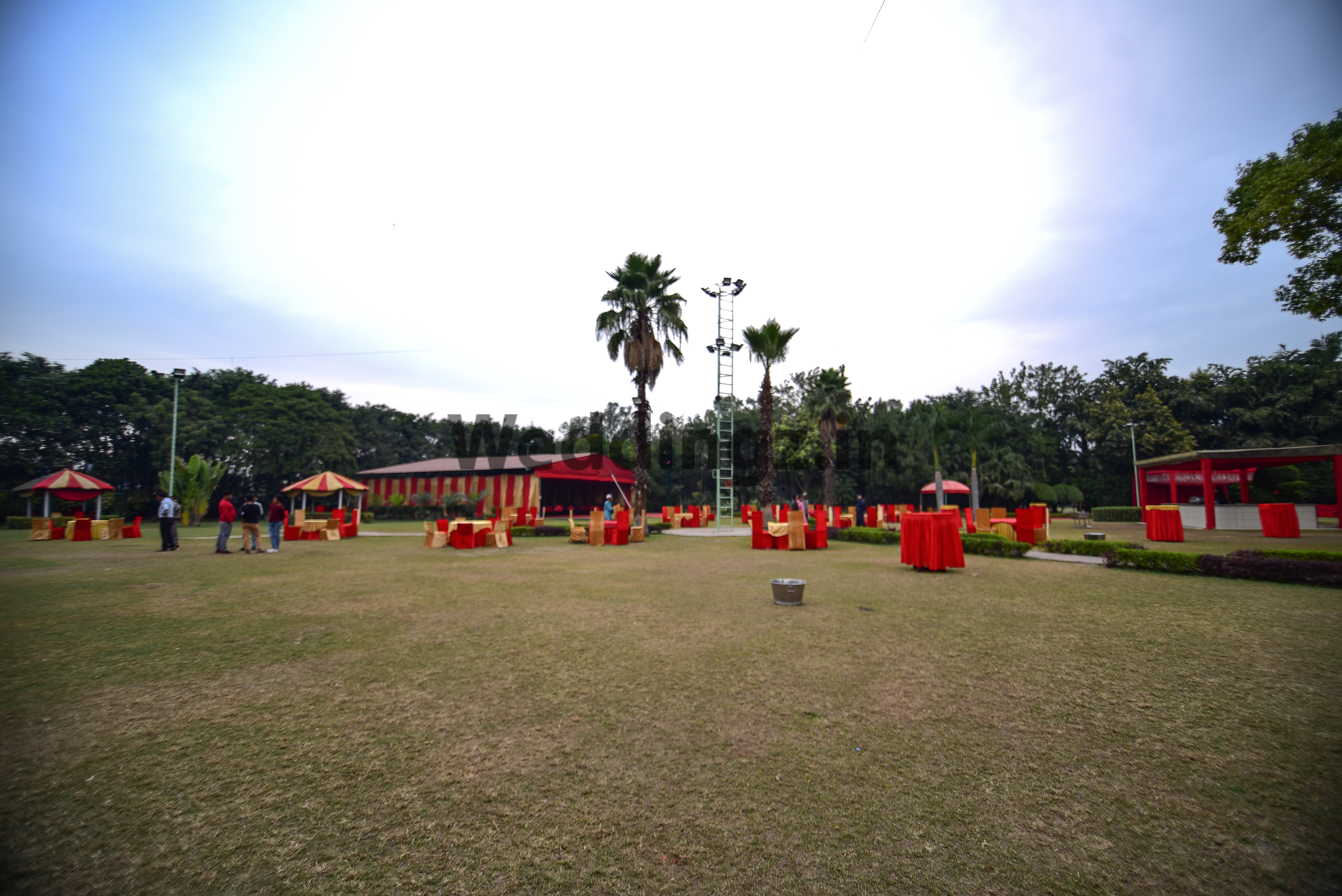 Buddha Garden