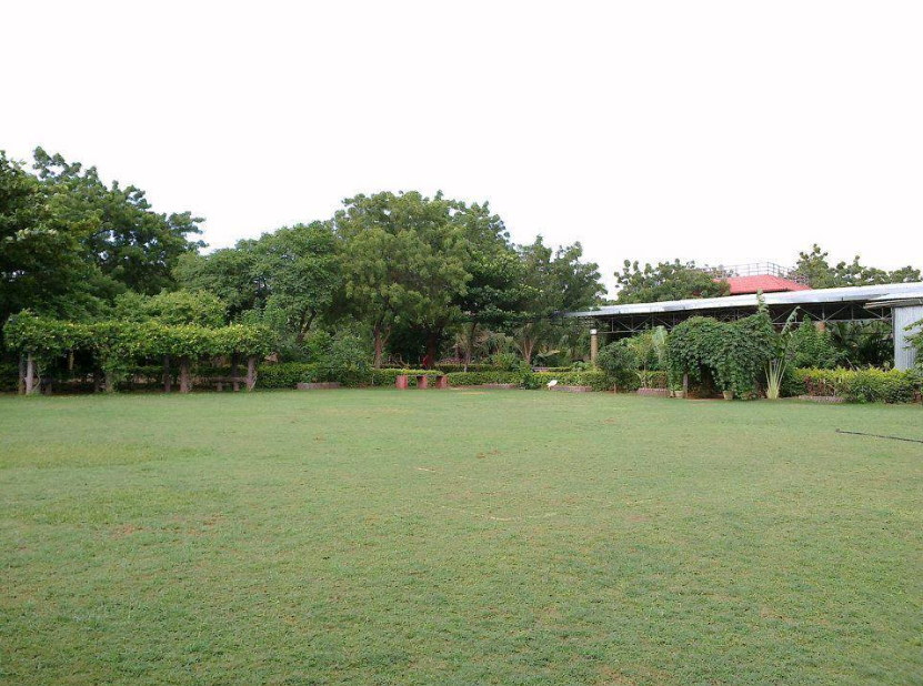 Dew Drop Party Farm