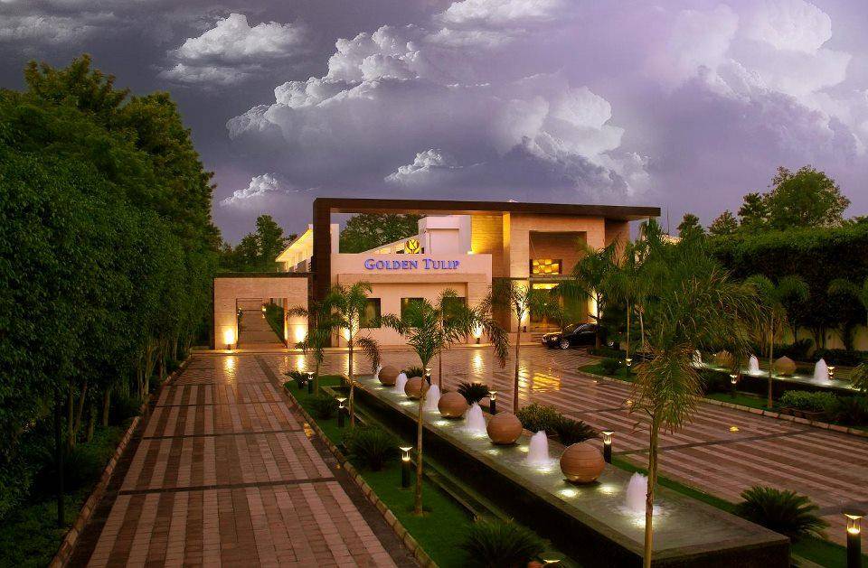 Golden Tulip