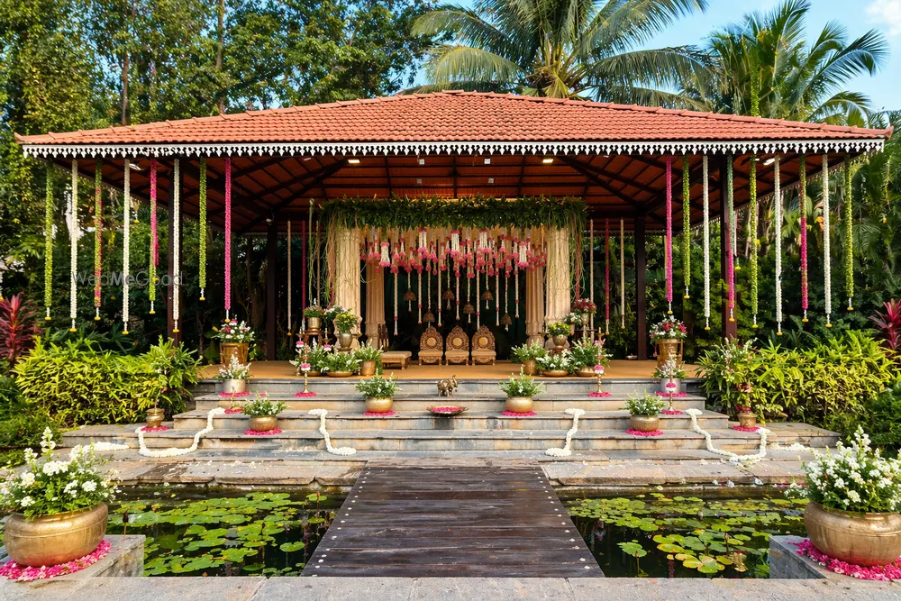The Peacock Grove